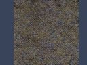 dry looking terrain texture