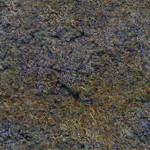 green smooth ground texture 16-512x512