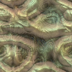 organic ground texture 037
