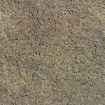 organic texture 03-512x512