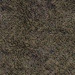 organic texture 06-512x512