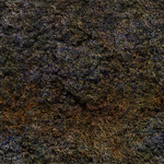 organic wall texture 17-512x512